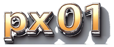 px01 logo